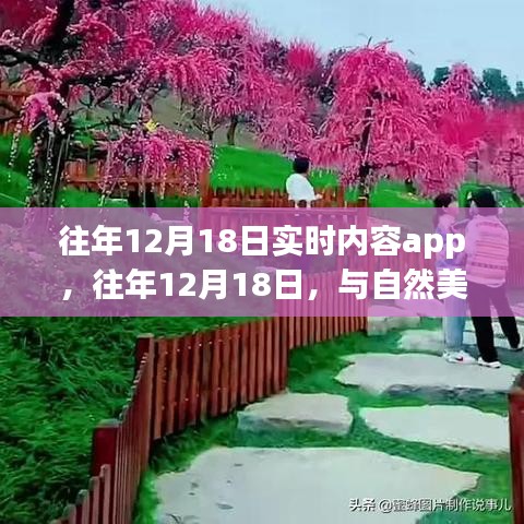往年12月18日實時內(nèi)容app，與自然美景的不期而遇的心靈之旅領(lǐng)航者