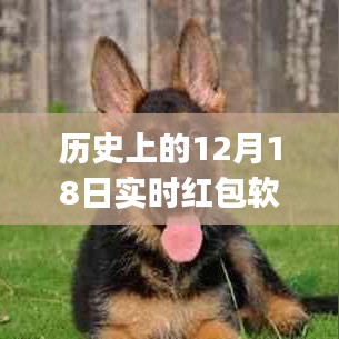 歷史上的12月18日實時紅包軟件使用指南，初學(xué)者與進(jìn)階用戶通用指南