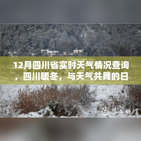 四川暖冬實時天氣查詢，與天氣共舞的日子