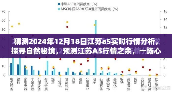 江蘇A5行情預測與探尋自然秘境的心靈之旅分析（2024年12月18日實時行情）