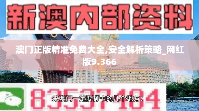 澳門(mén)正版精準(zhǔn)免費(fèi)大全,安全解析策略_網(wǎng)紅版9.366