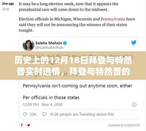 拜登與特然普選情日，心靈與自然的交織旅程紀(jì)實分析