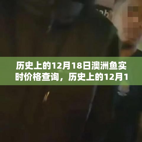 歷史上的12月18日澳洲魚實時價格揭秘，探尋海洋寶藏的價格軌跡