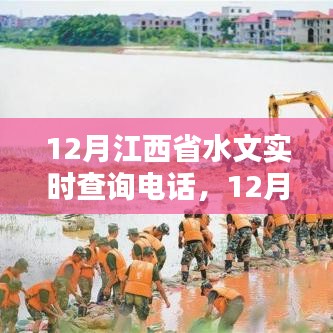 江西省水文實(shí)時查詢電話服務(wù)詳解，利弊分析與個人觀點(diǎn)