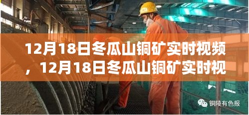 12月18日冬瓜山銅礦實時視頻，深度評測與介紹