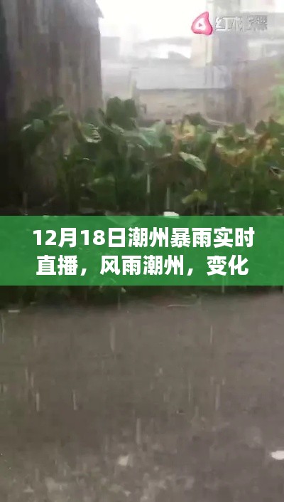 鳥窮則啄 第3頁