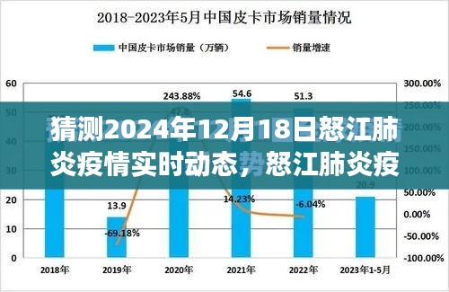 2024年12月18日怒江肺炎疫情實時動態(tài)分析與展望