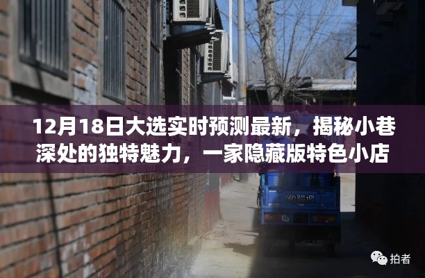 特色小店揭示，大選實(shí)時(shí)預(yù)測之旅，小巷深處的獨(dú)特魅力展現(xiàn)