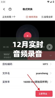 小紅書獨家揭秘，聆聽冬季實時音頻錄音，感受秘密聲音的魅力！
