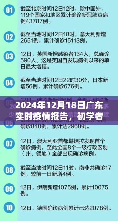 廣東實時疫情報告詳解，初學(xué)者指南與步驟解析（2024年12月版）