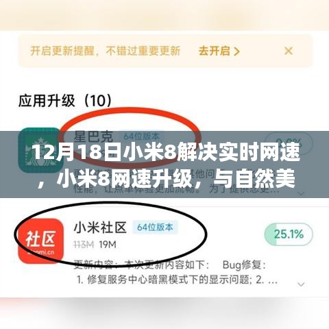 小米8網(wǎng)速升級(jí)，實(shí)時(shí)暢享，與自然美景共舞的心靈之旅