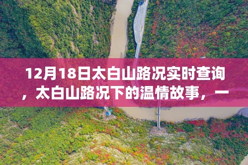冰清玉潔 第3頁(yè)