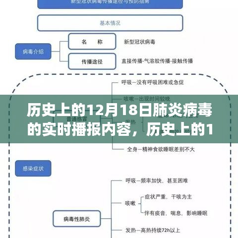 競品對比與用戶洞察