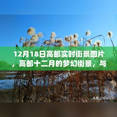 高郵十二月夢幻街景與自然美景的邂逅實拍圖片欣賞