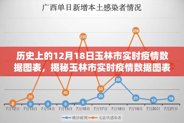 歷史上的12月18日玉林市疫情數(shù)據(jù)圖表深度解析，實(shí)時(shí)數(shù)據(jù)與趨勢(shì)分析