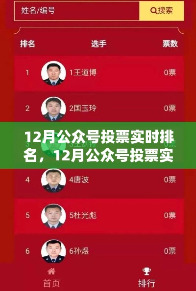 12月公眾號(hào)投票實(shí)時(shí)排名，全面評(píng)測(cè)與深度解析