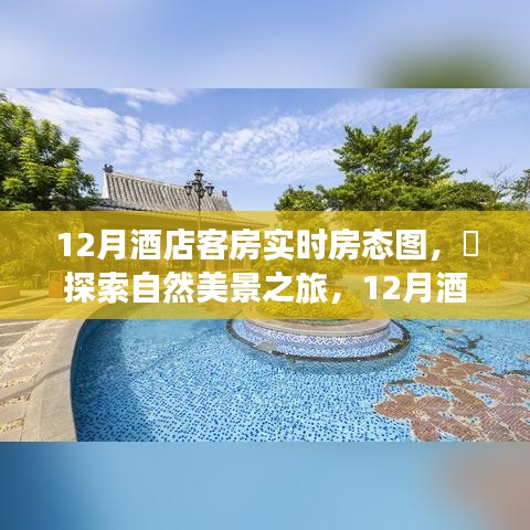 12月酒店客房實時房態(tài)圖，自然美景之旅，探尋內(nèi)心的寧靜與微笑之旅