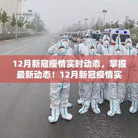 12月新冠疫情實時追蹤，最新動態(tài)與應(yīng)對策略指南