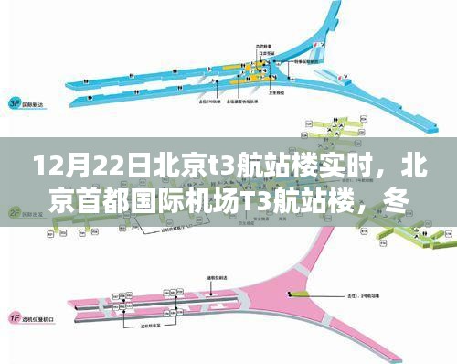 冬至?xí)r刻的樞紐脈動(dòng)，北京首都國際機(jī)場T3航站樓實(shí)時(shí)觀察