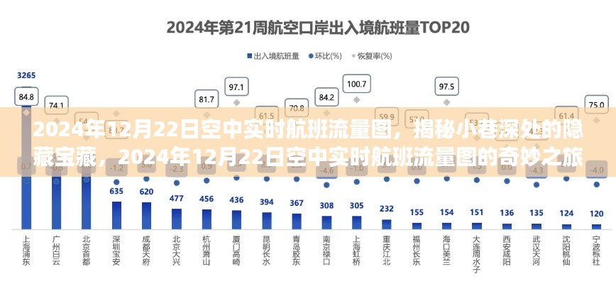 揭秘小巷深處的寶藏，2024年空中實時航班流量圖的奇妙探索之旅