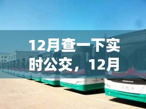 12月實時公交查詢，便捷與局限并存