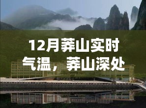 12月莽山深處暖意融融，特色小店與實(shí)時(shí)氣溫的邂逅