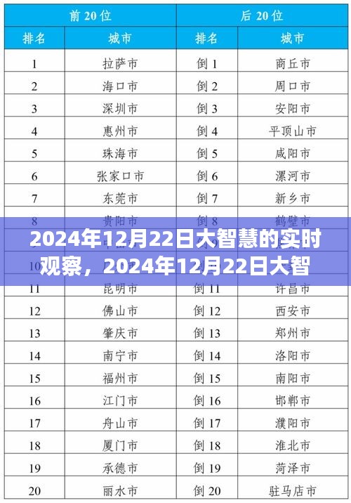 大智慧實時觀察，科技、人文與未來的交融（2024年12月22日觀察報告）