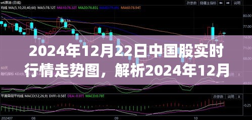 從某某觀點解析，2024年12月22日中國股市實時行情走勢圖深度剖析