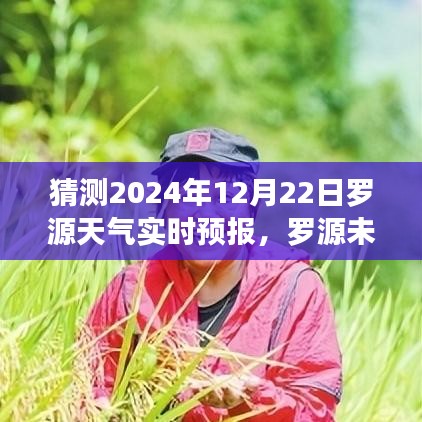 羅源天氣預報，探索變化中的學習，自信成就之源的未來氣象預測（2024年12月22日實時更新）