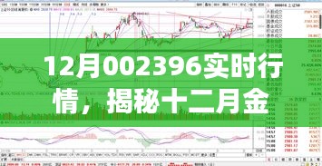 揭秘十二月金融風云，股票002396實時行情深度解析與聚焦股票動態(tài)