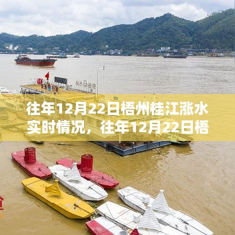 往年12月22日梧州桂江漲水現(xiàn)象，實(shí)時(shí)情況與分析