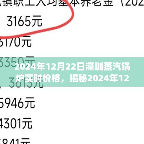 揭秘蒸汽鍋爐市場(chǎng)，深圳蒸汽鍋爐實(shí)時(shí)價(jià)格與專業(yè)解讀（2024年12月22日）