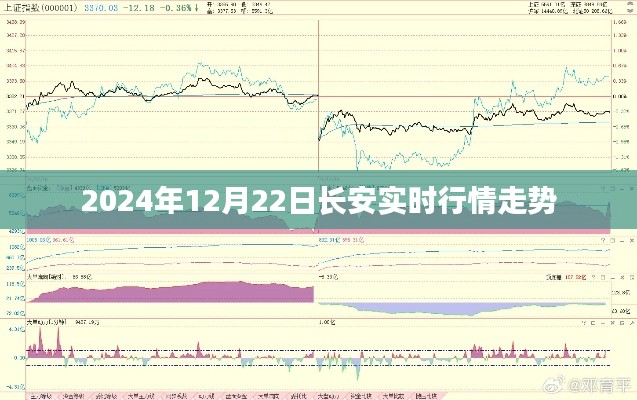 長安實時行情走勢分析（最新更新至2024年）