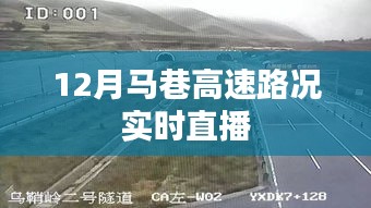 馬巷高速實時路況直播，掌握路況動態(tài)