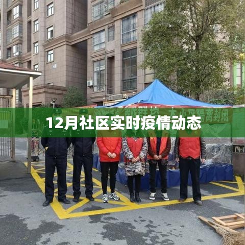社區(qū)疫情動態(tài)實時更新（十二月版）