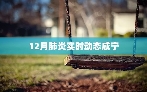 咸寧地區(qū)肺炎實(shí)時(shí)動(dòng)態(tài)報(bào)告，12月最新情況分析