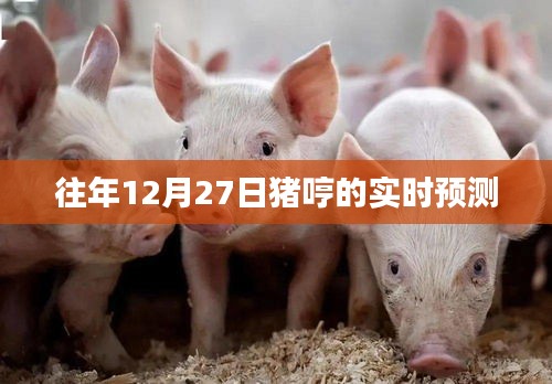 豬哼歷年12月27日實時預測分析