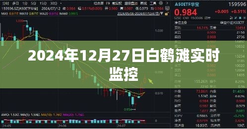 白鶴灘水電站實(shí)時(shí)監(jiān)控，揭秘大壩運(yùn)行實(shí)況