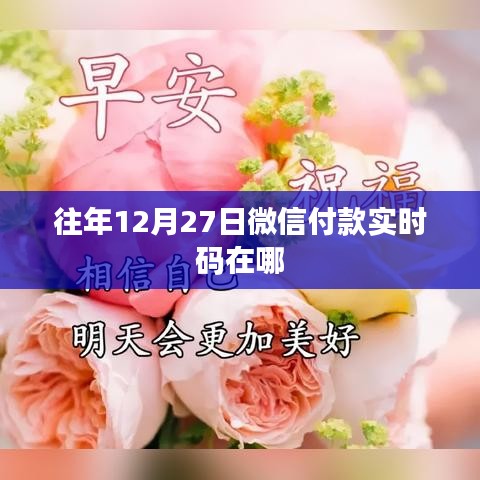 微信往年12月27日付款實時碼查詢攻略