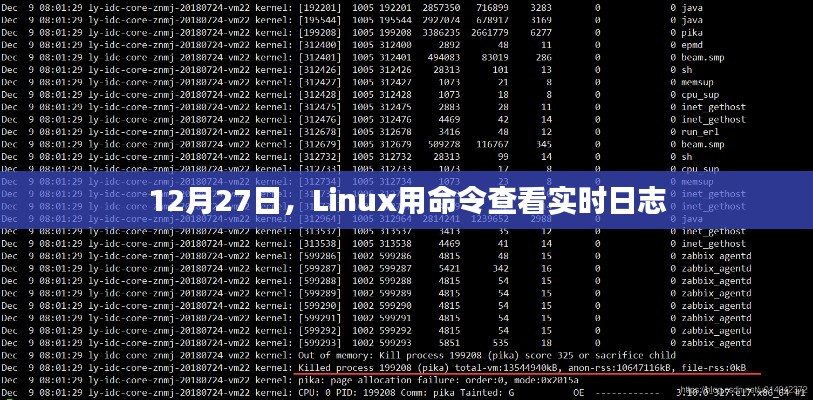 Linux實(shí)時日志查看命令解析