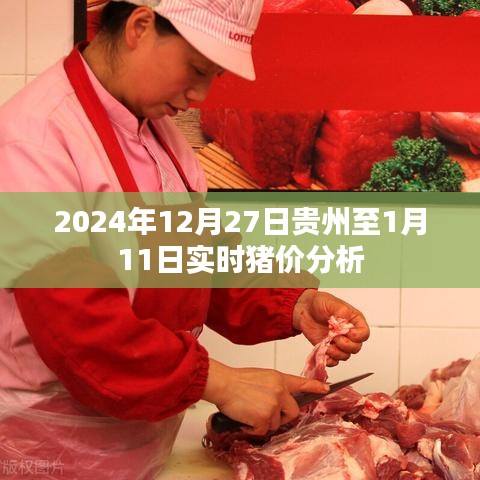 2024年預(yù)測