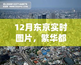 東京冬季繁華實(shí)時(shí)圖片欣賞