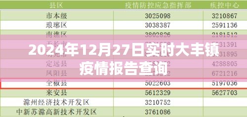 大豐鎮(zhèn)疫情報告實時查詢（最新更新至2024年）