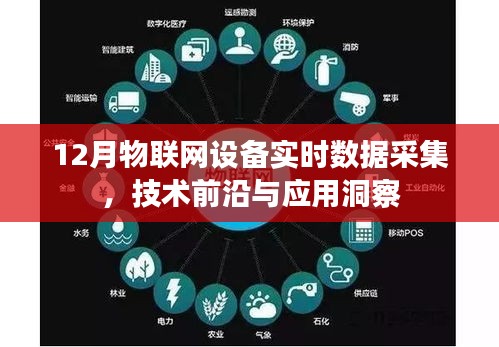 前沿探索