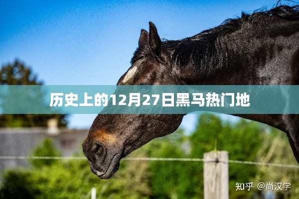 歷史上的黑馬熱門地，揭秘十二月二十七日的秘密