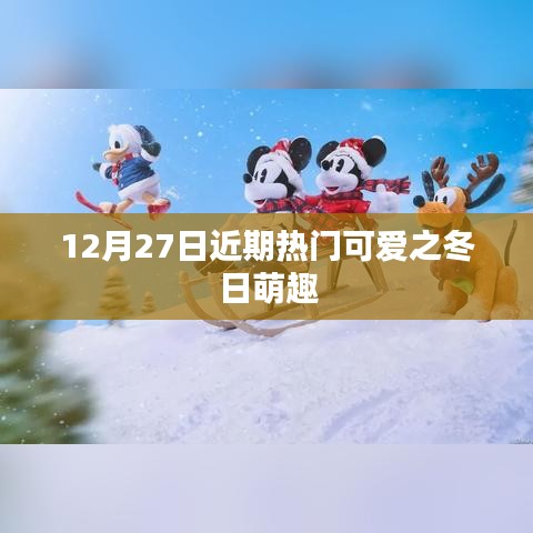 冬日萌趣，12月27日熱門(mén)可愛(ài)精選