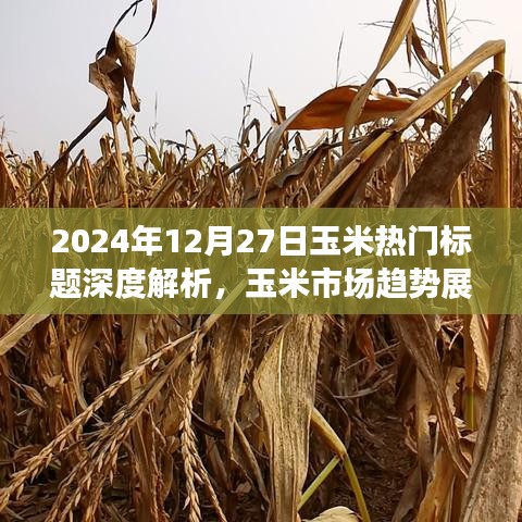 2024年玉米市場趨勢深度解析，熱門標(biāo)題展望與種植策略調(diào)整