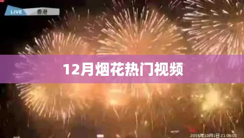 12月煙花盛宴，熱門視頻大賞