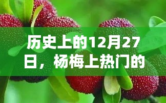 楊梅上熱門時刻，歷史上的12月27日回顧