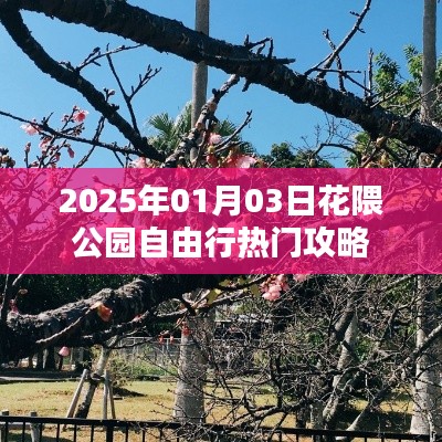 花隈公園自由行指南，熱門攻略揭秘